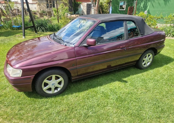 Ford Escort cena 3800 przebieg: 113150, rok produkcji 1993 z Golub-Dobrzyń małe 781